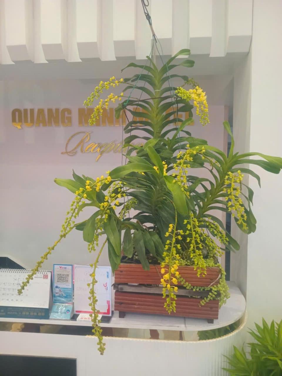 Quang Minh Tho Son