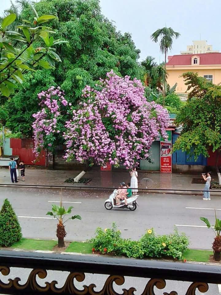 Quang Minh